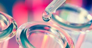 Breast Cancer Research BRCA 1 BRCA 2 OHC